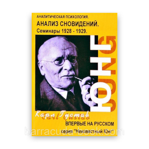 Аналитическая психология. Анализ сновидений. Карл Густав Юнг -14512 фото